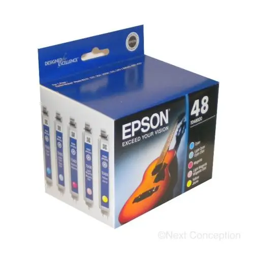 T048920s Epson R200/R300/R500 Multipack Ink 1