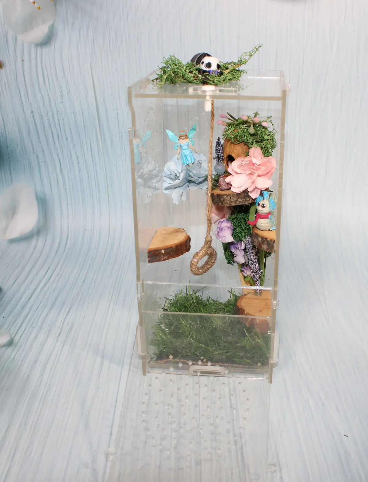 Spider Enclosure 8" X4" X 4" 1