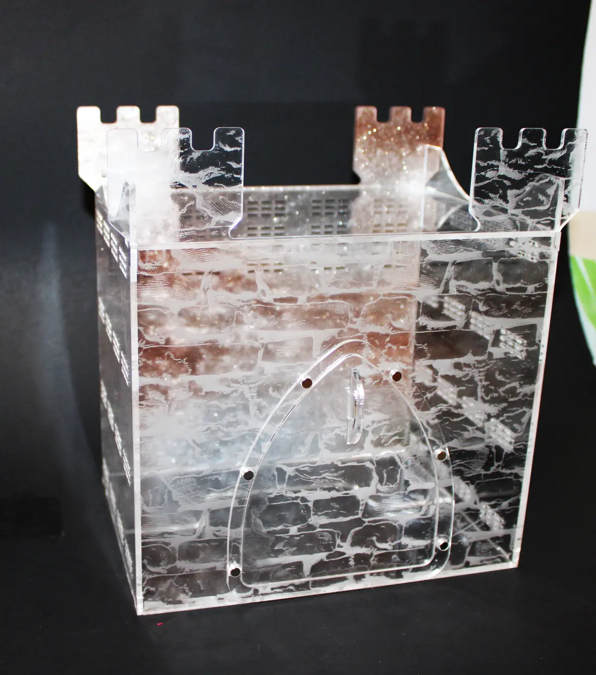 Custom Jumping Spider Enclosure Castle 9X8x6" 1
