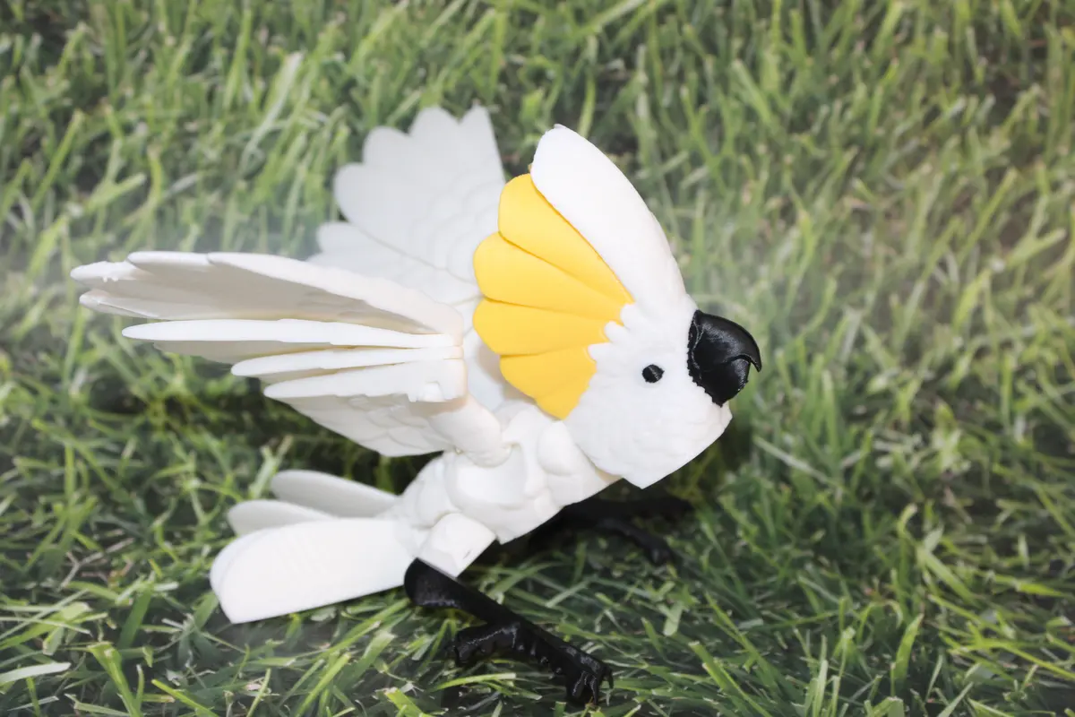 Cockatoo-3D Printed Articulated Flexi Fidget Figurine 1