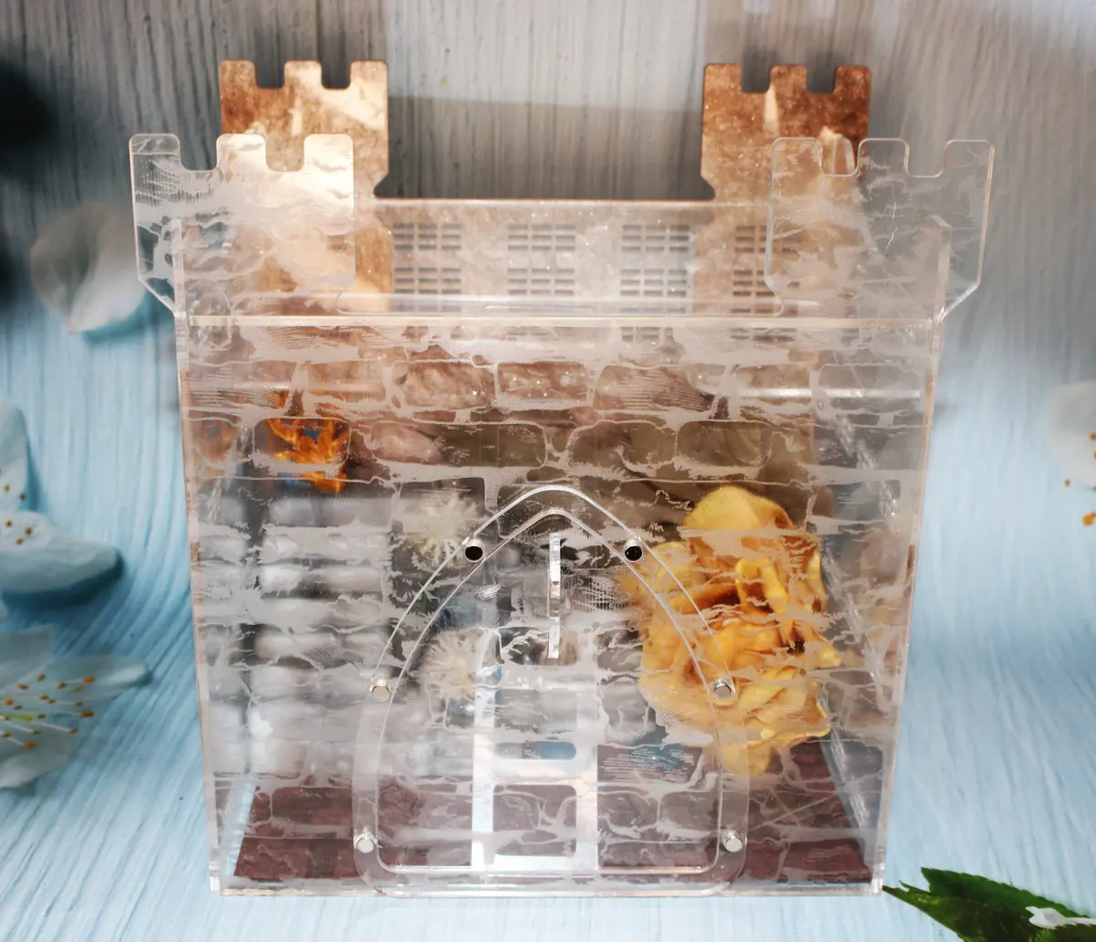 Fully Decorated Custom Jumping Spider Enclosure Castle 9X8x6" 1