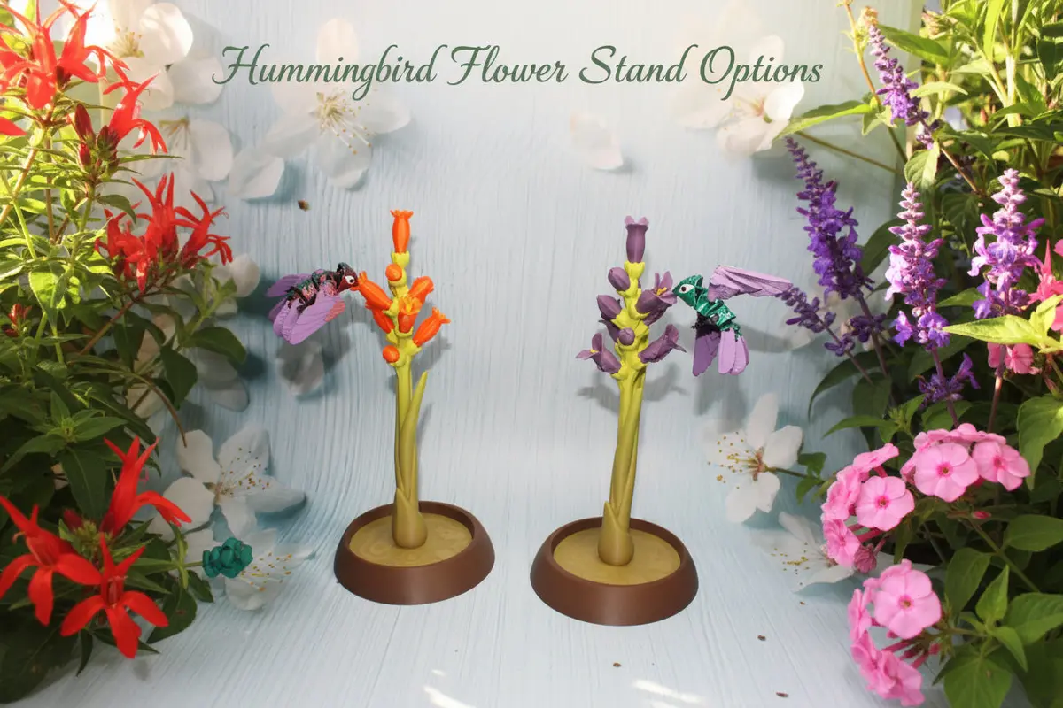 Hummingbird With Flower Display Options 1