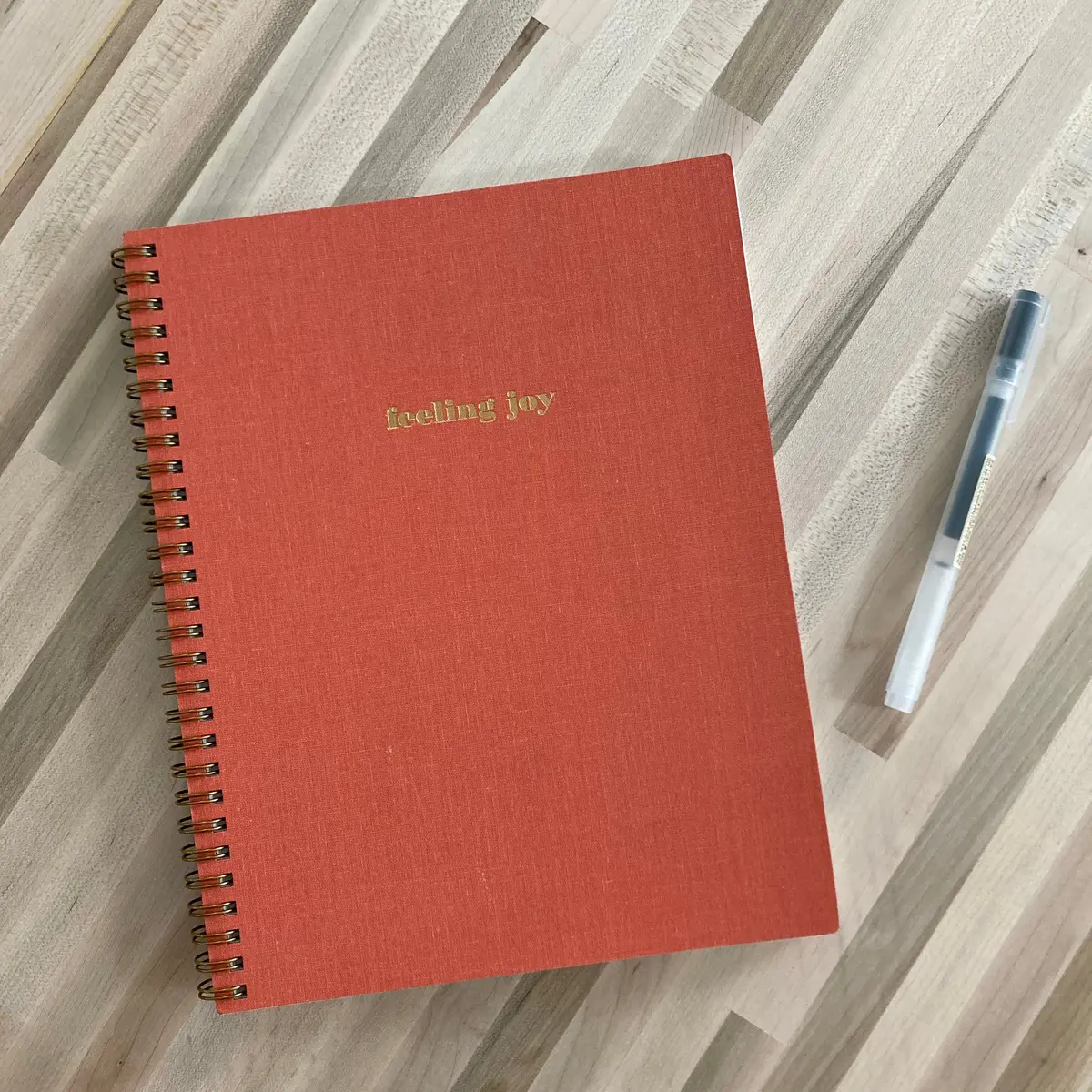 Journal - "Feeling Joy" 1