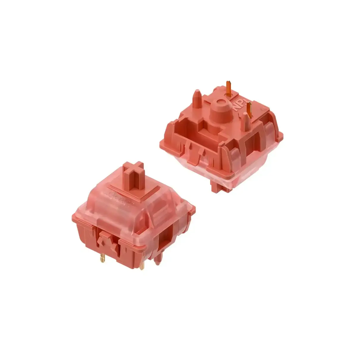 Gateron X Nuphy - Raspberry Switch 1