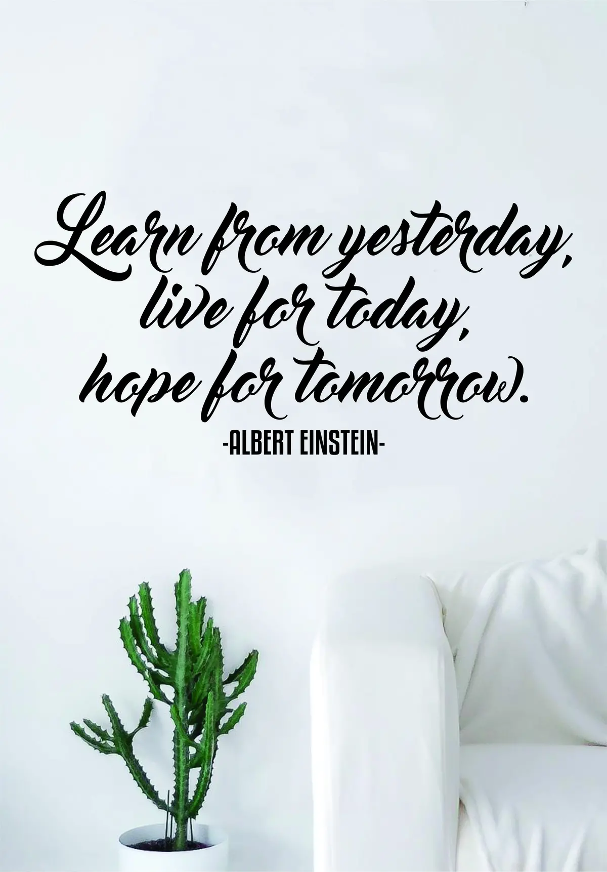 Albert Einstein Learn From Yesterday Quote Wall Decal Sticker Bedroom Living Room Art Vinyl Beautiful Inspirational Teen School Smart 1