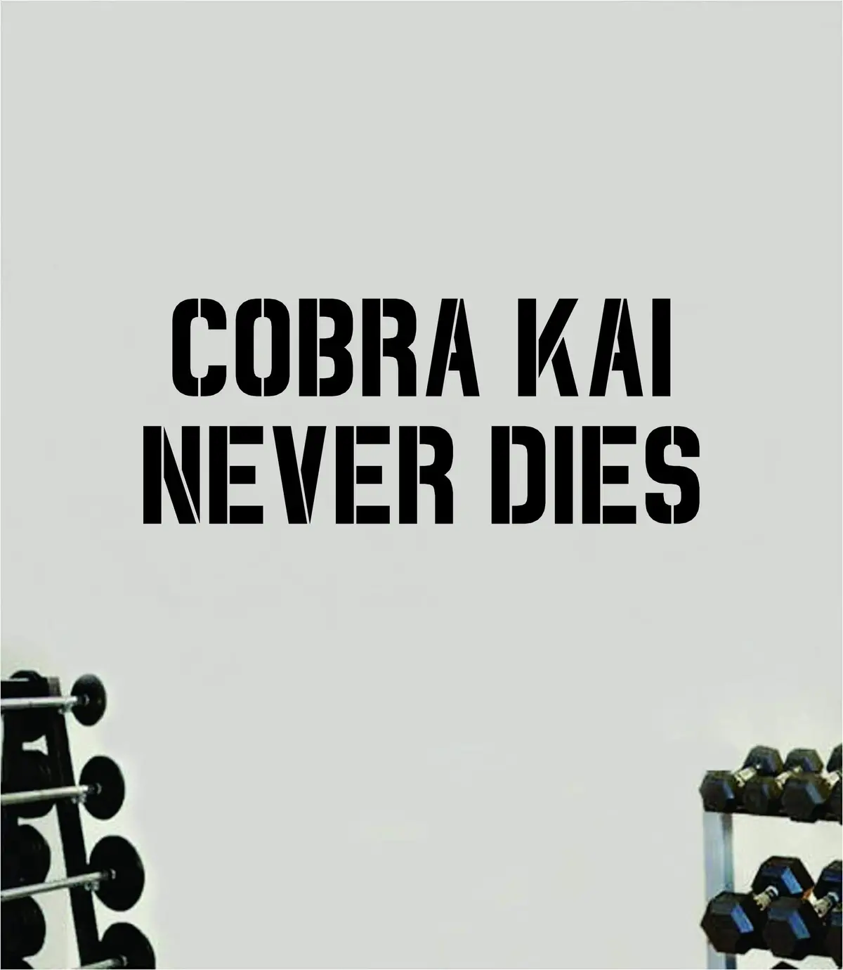 Cobra Kai Never Dies Decal Sticker Wall Vinyl Art Wall Bedroom Room Home Decor Inspirational Motivational Teen Sports Gym Fitness Health Beast Karate Strike First Hard No Mercy 1
