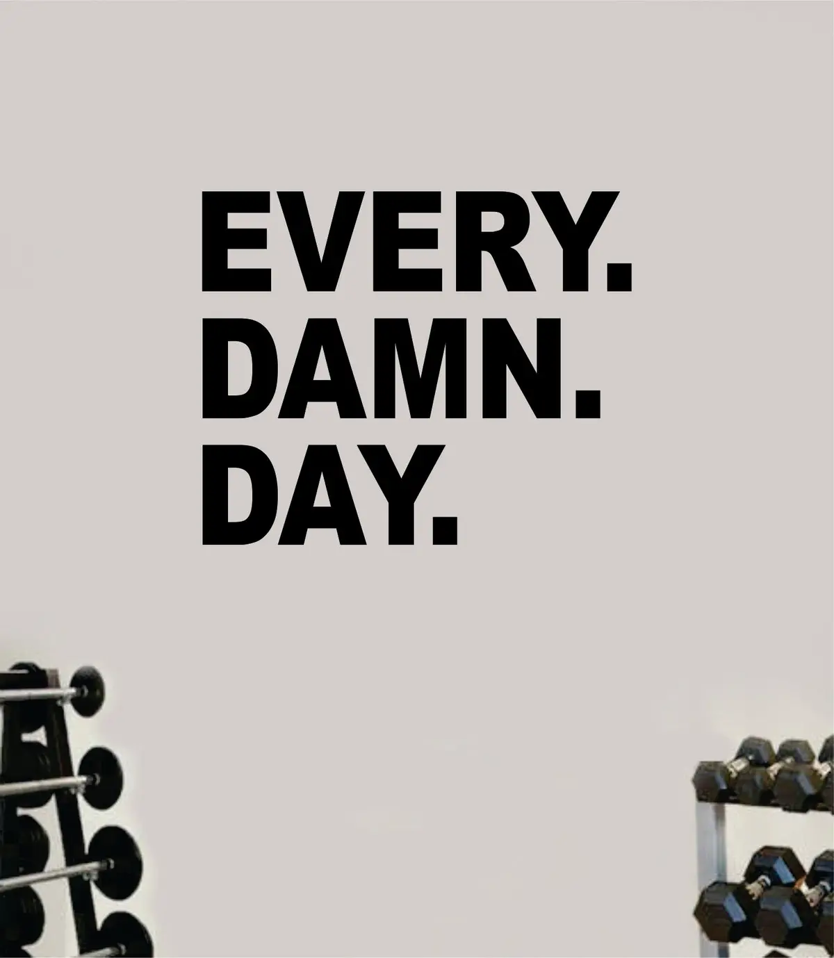Every Damn Day Decal Sticker Wall Vinyl Art Wall Bedroom Room Home Decor Inspirational Motivational Teen Sports Gym Fitness 1