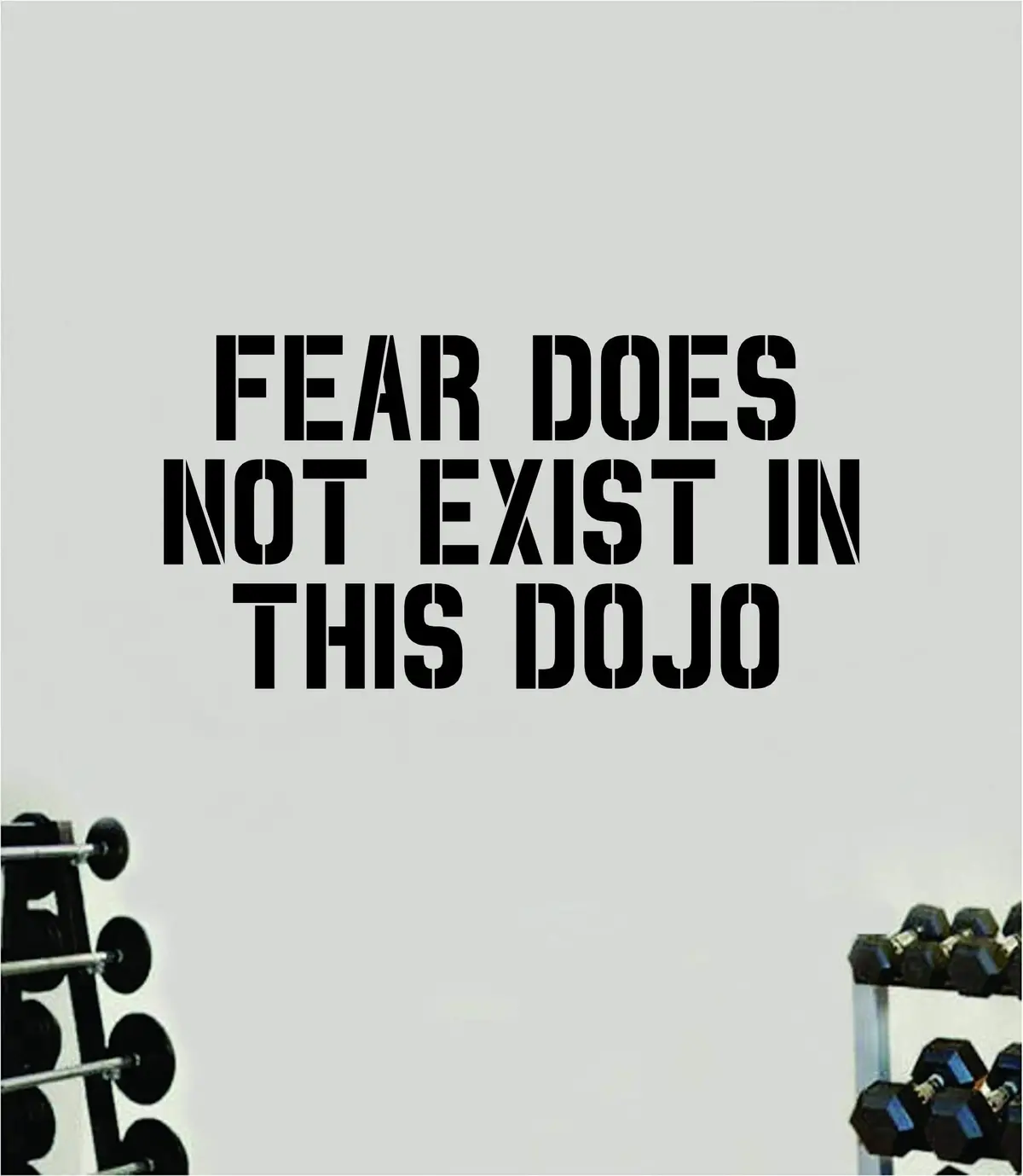 Fear Does Not Exist In This Dojo Decal Sticker Wall Vinyl Art Wall Bedroom Room Home Decor Inspirational Motivational Teen Sports Gym Fitness Health Beast Karate Cobra Kai Strike First Hard No Mercy 1