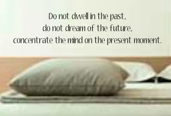 Do Not Dwell In The Past Quote Decal Sticker Wall Vinyl Decor Art 1