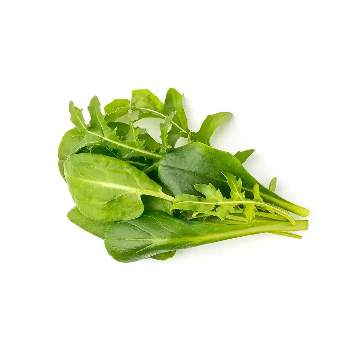 Click & Grow - Smart Garden Refill - Salad Greens Mix - Starter Do Uprawy Z Nasionami - Mieszanka Sałat 1