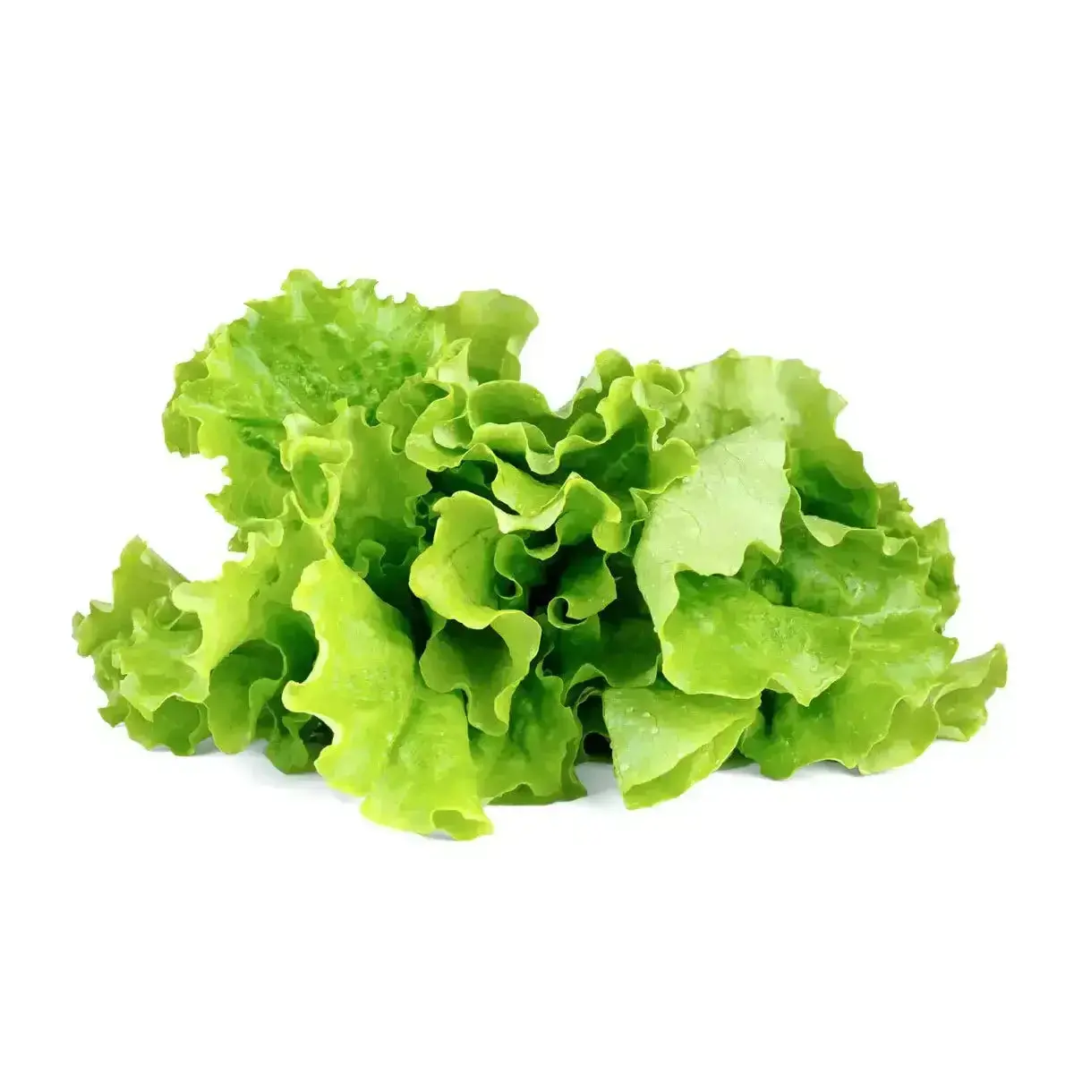 Click & Grow - Smart Garden Refill Green Lettuce - Starter Do Uprawy Z Nasionami - Sałata Siewna 1