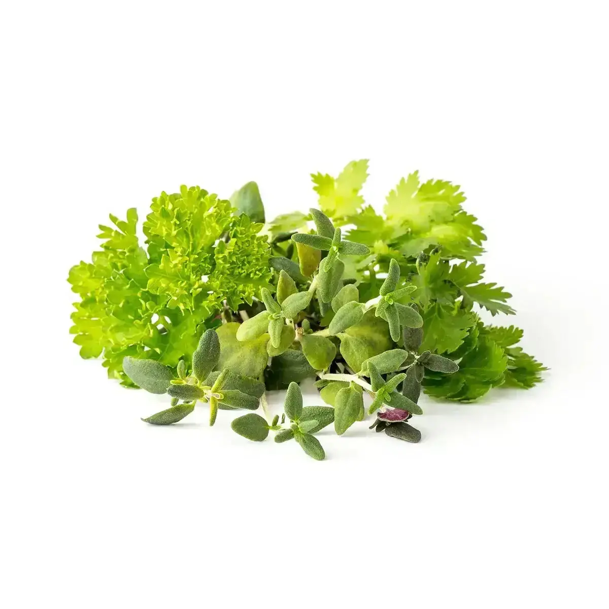 Click & Grow - Smart Garden Refill Steak Seasoning Mix - Starter Do Uprawy Z Nasionami - Mieszanka Ziół Do Grillowania I Steków 1