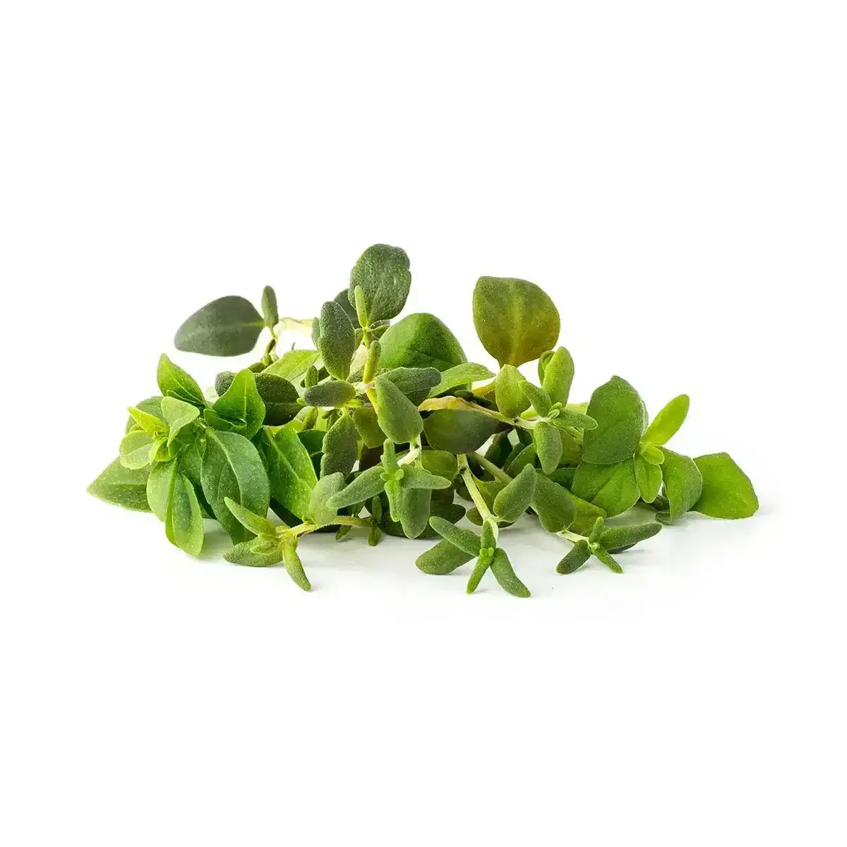 Click & Grow - Smart Garden Refill Italian Herb Mix - Starter Do Uprawy Z Nasionami - Mieszanka Włoskich Ziół 1