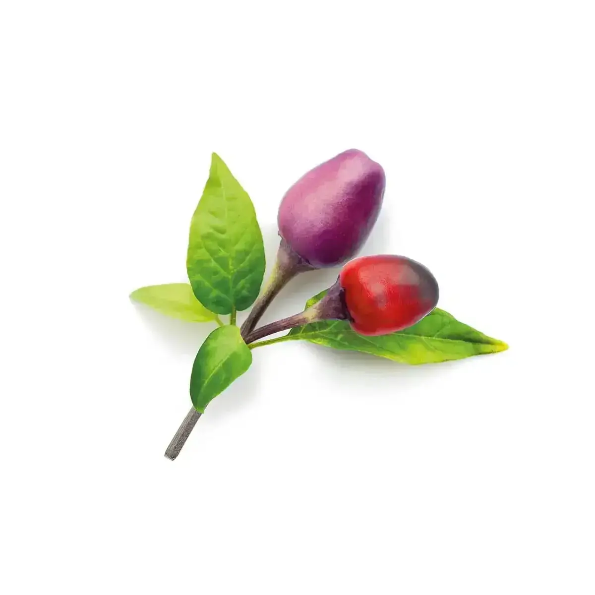 Click & Grow - Smart Garden Refill Purple Chili Pepper - Starter Do Uprawy Z Nasionami - Fioletowa Papryka Chili 1