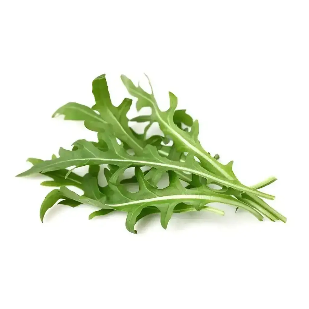 Click & Grow - Smart Garden Refill Leaf Mustard - Starter Do Uprawy Z Nasionami - Kapusta Sitowata 1
