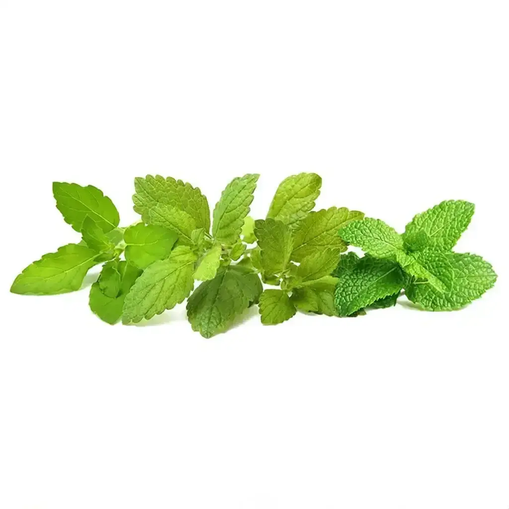 Click & Grow - Smart Garden Refill Calming Tea Mix - Starter Do Uprawy Z Nasionami - Mix Ziołowych Herbat Uspokajających 1