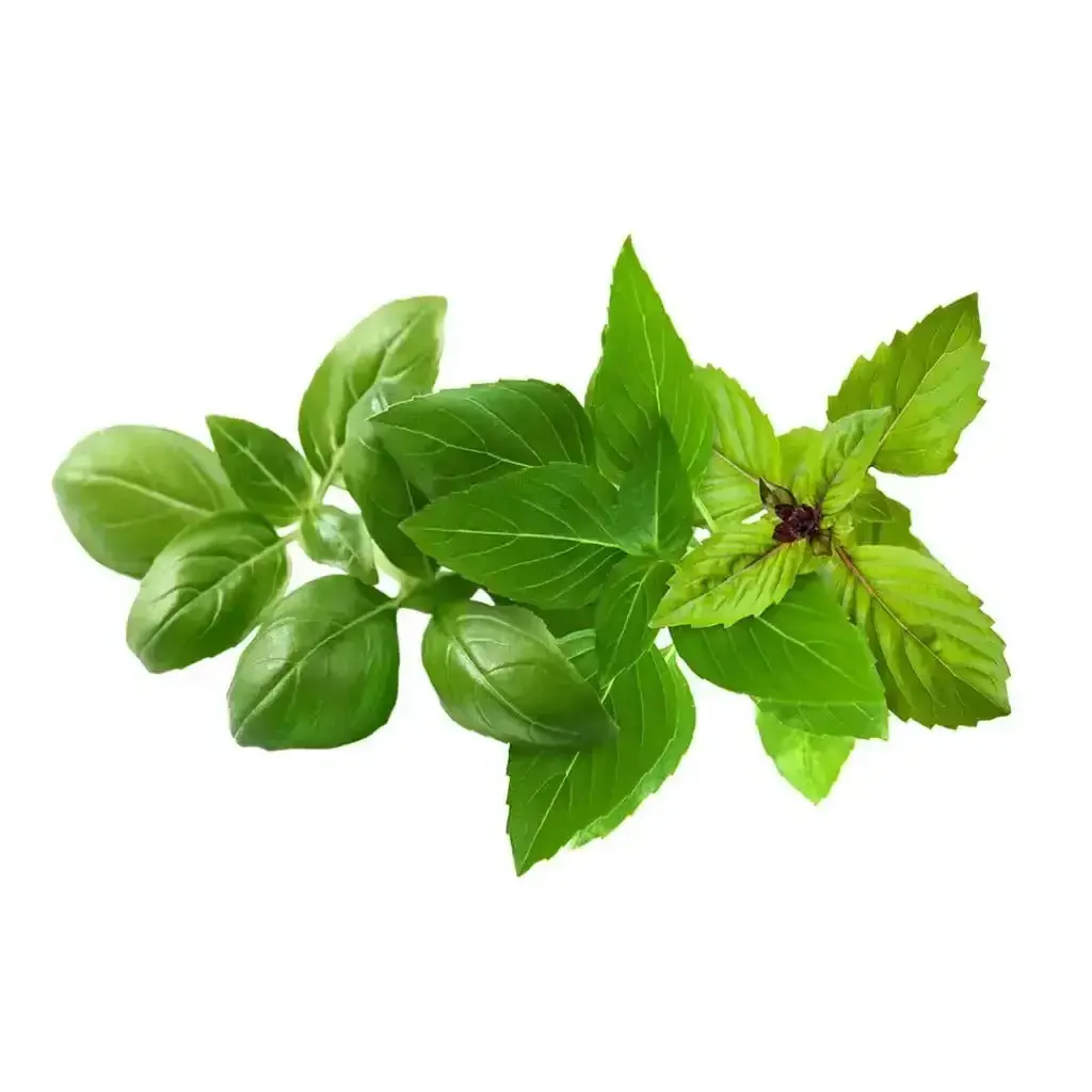 Click & Grow - Smart Garden Refill Basil Mix - Starter Do Uprawy Z Nasionami - Mix Bazyli 1