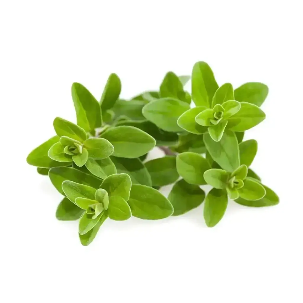 Click & Grow - Smart Garden Refill Marjoram - Starter Do Uprawy Z Nasionami - Majeranek Ogrodowy 1