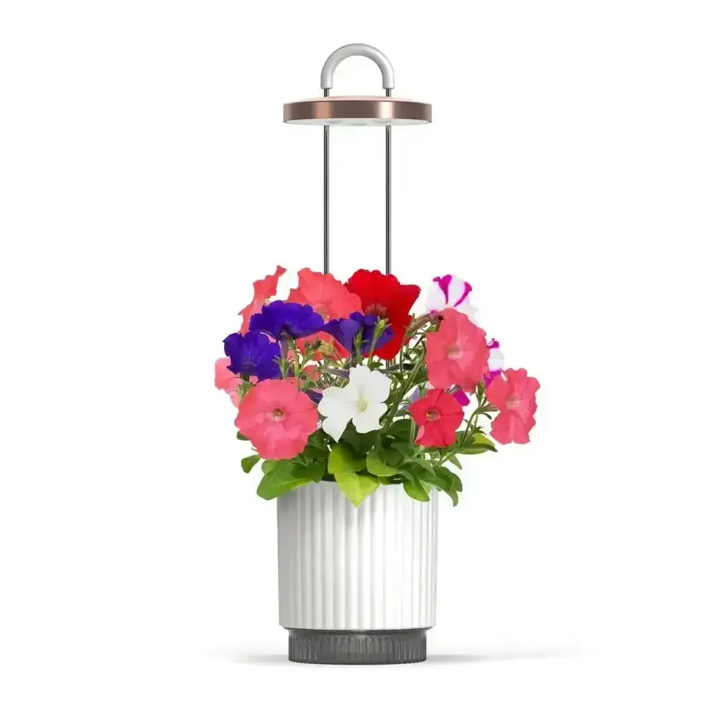 Click & Grow - Hydrovase By Ermonix Indoor Plant Care Kit With Led Light - Doniczka Z Lampą Led Do Uprawy Roślin 1