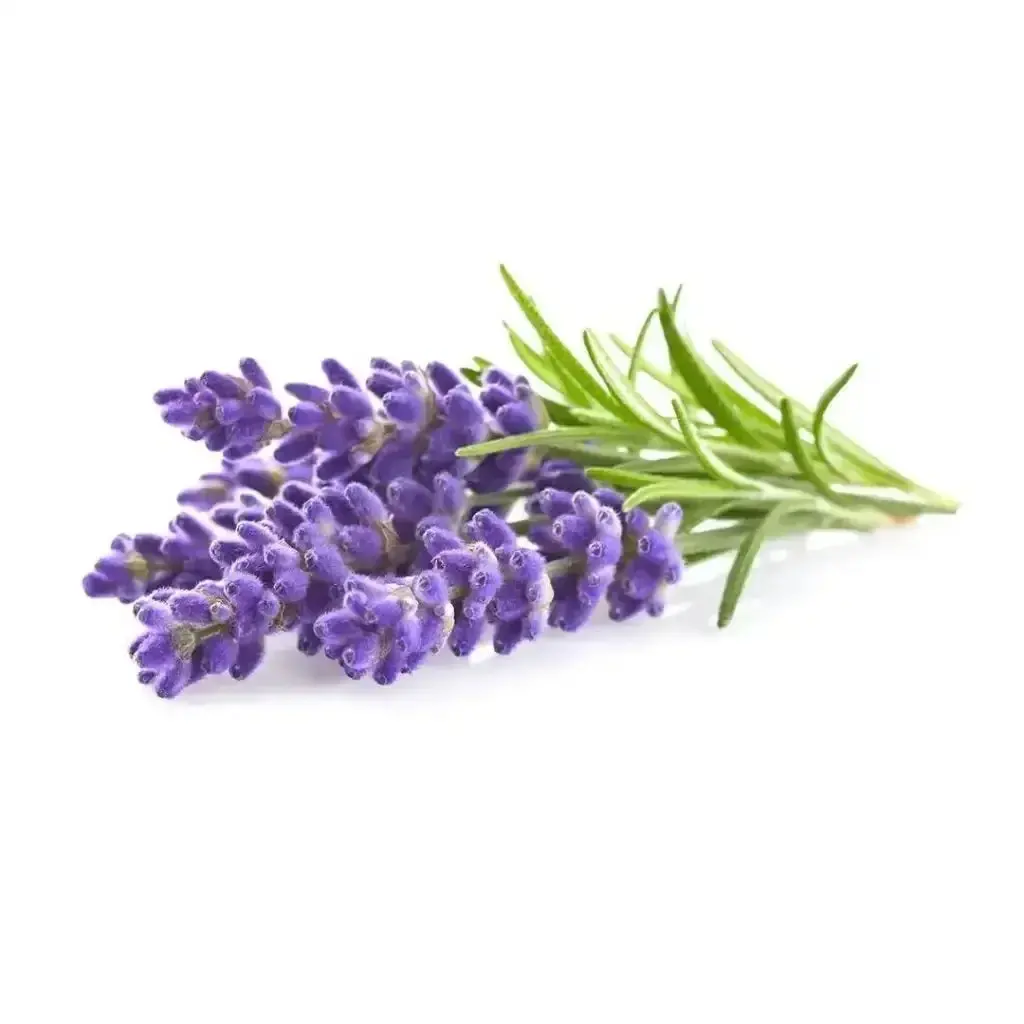 Click & Grow - Smart Garden Refill Lavender - Starter Do Uprawy Z Nasionami - Lawenda 1