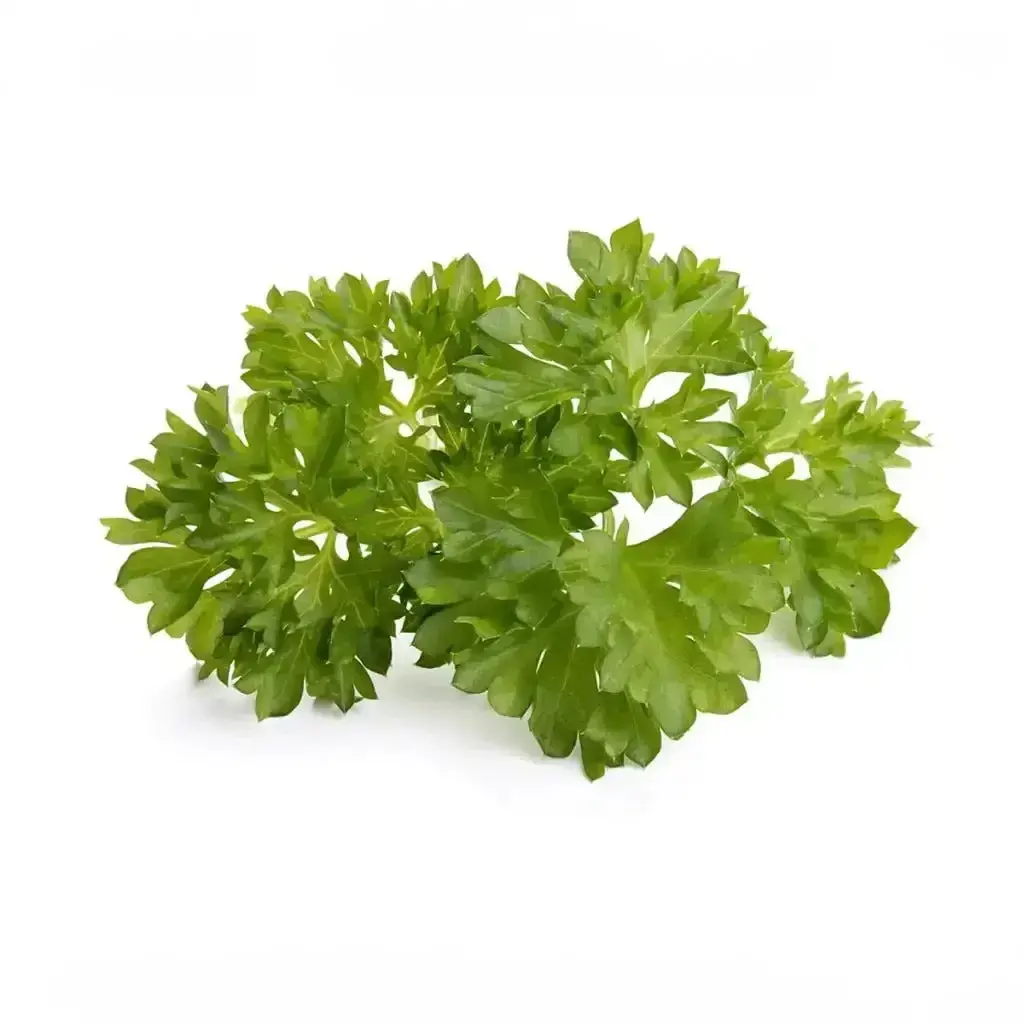 Click & Grow - Smart Garden Refill Curly Parsley - Starter Do Uprawy Z Nasionami - Pietruszka Kędzierzawa 1