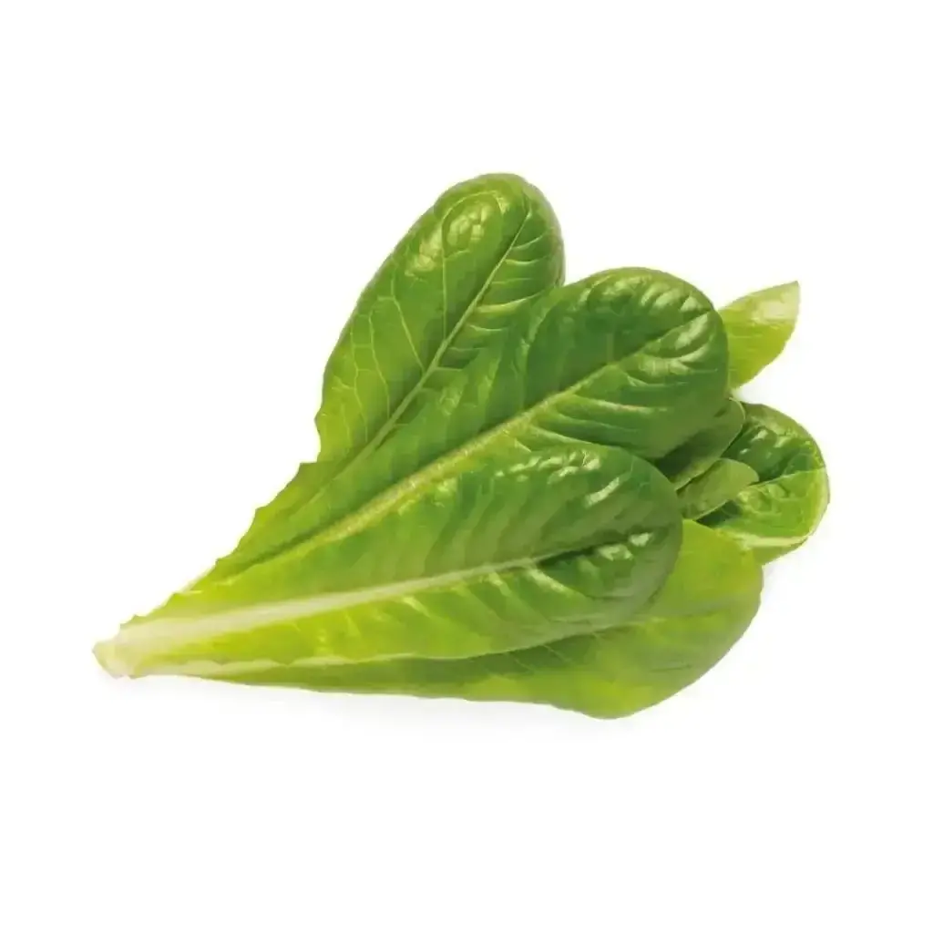 Click & Grow - Smart Garden Refill Romaine Lettuce - Starter Do Uprawy Z Nasionami - Sałata Rzymska 1