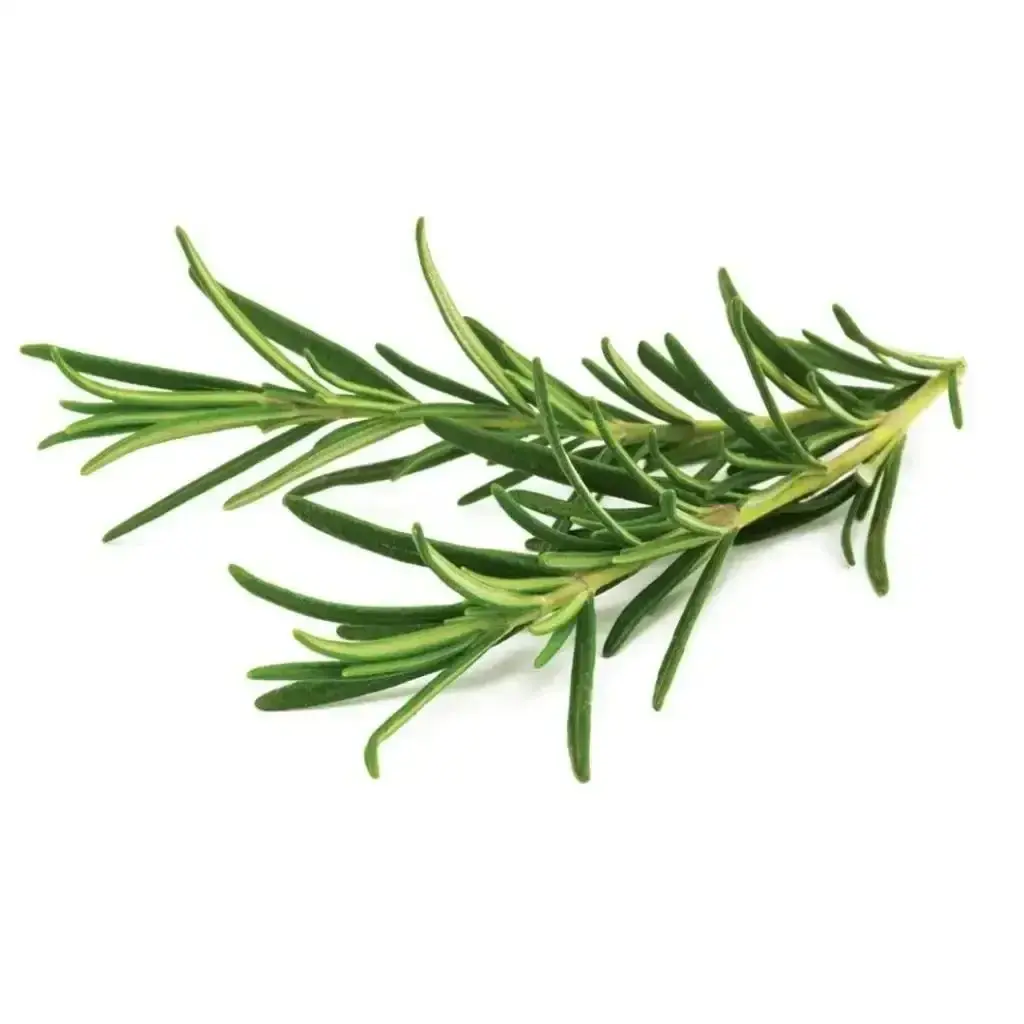 Click & Grow - Smart Garden Refill Rosemary - Starter Do Uprawy Z Nasionami - Rozmaryn Lekarski 1