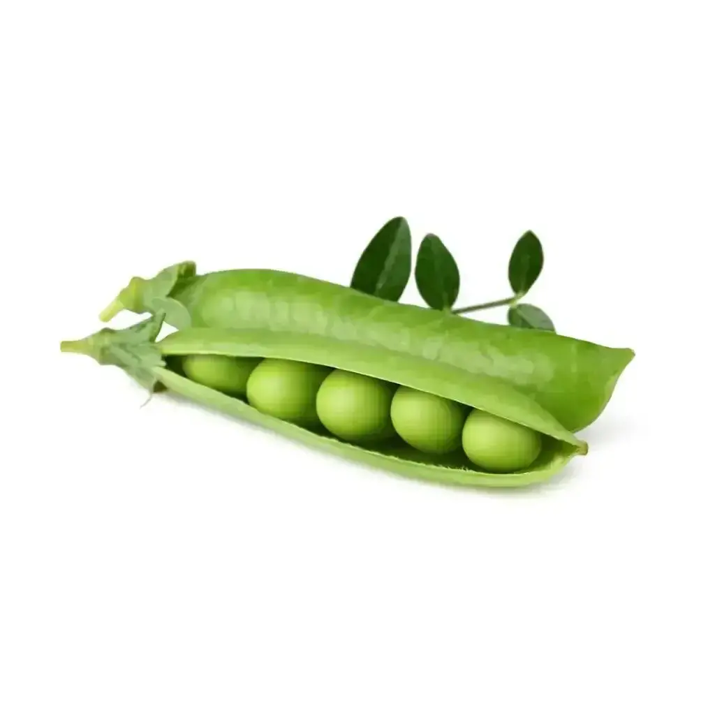 Click & Grow - Smart Garden Refill Dwarf Peas - Starter Do Uprawy Z Nasionami - Groch Karłowaty 1