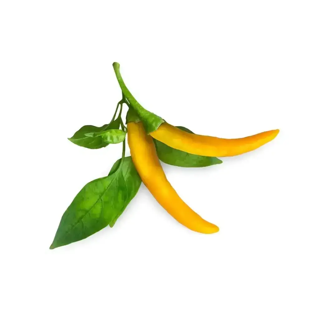 Click & Grow - Smart Garden Refill Yellow Chili Pepper - Starter Do Uprawy Z Nasionami - Żółte Papryczki Chili 1