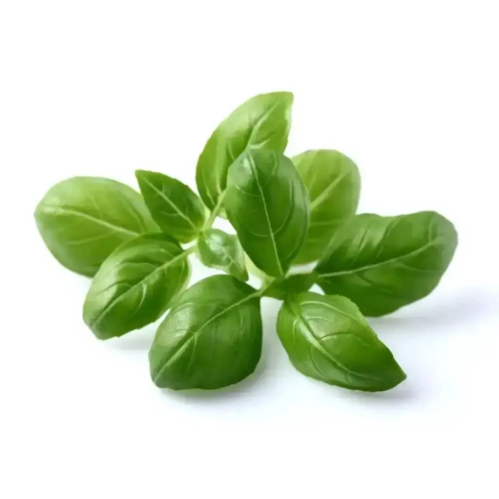 Click & Grow - Smart Garden Refill Basil - Starter Do Uprawy Z Nasionami - Bazylia 1