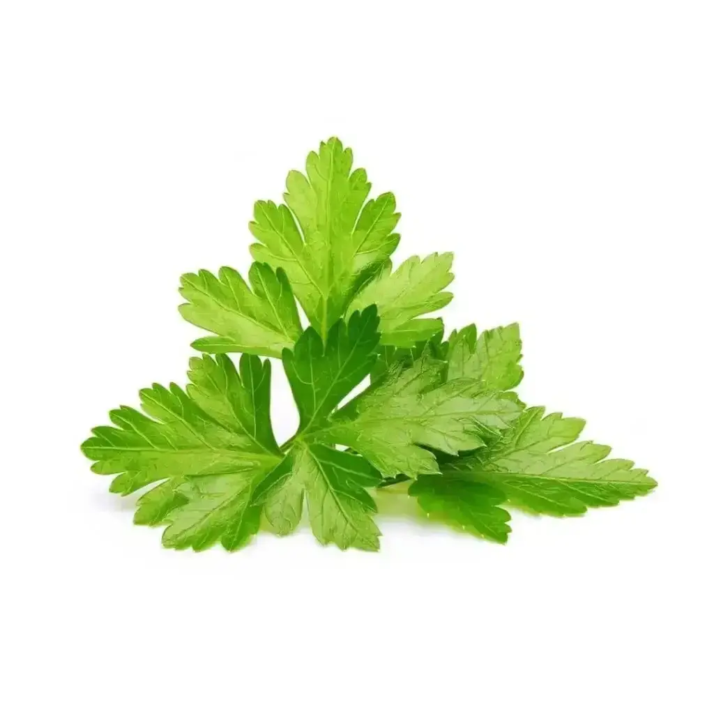 Click & Grow - Smart Garden Refill Cilantro (Coriander) - Starter Do Uprawy Z Nasionami - Kolendra Siewna 1