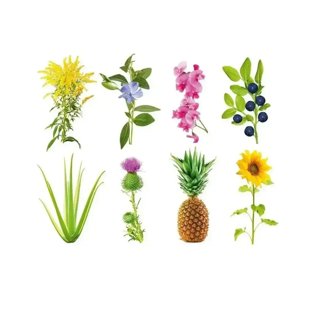 Click & Grow - Smart Garden Refill Grow Anything - Starter Do Uprawy Bez Nasion 1