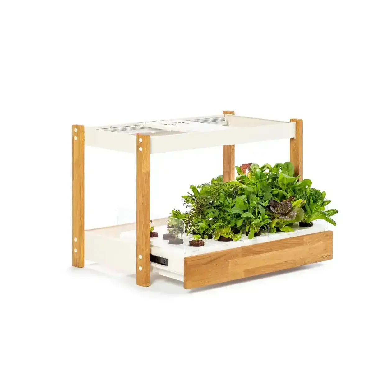 Click & Grow - 25 Indoor Starter Kit - Doniczka Z Lampą Led Do Uprawy Roślin 1