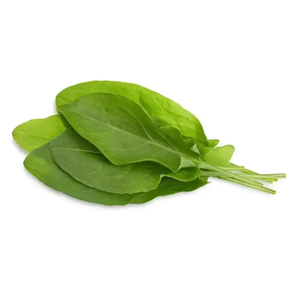 Click & Grow - Smart Garden Refill Green Sorrel - Starter Do Uprawy Z Nasionami - Szczaw Zwyczajny 1