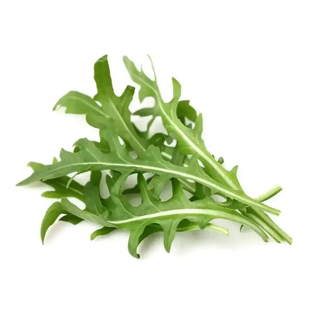 Click & Grow - Smart Garden Refill Arugula - Starter Do Uprawy Z Nasionami - Rukola 1