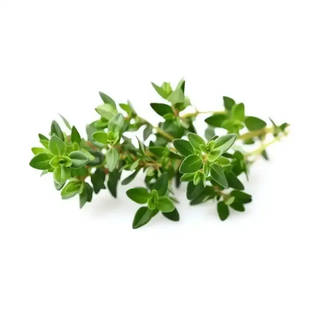 Click & Grow - Smart Garden Refill Thyme - Starter Do Uprawy Z Nasionami - Tymianek 1