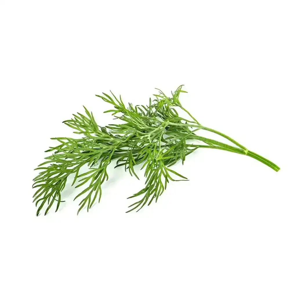Click & Grow - Smart Garden Refill Dill - Starter Do Uprawy Z Nasionami - Koperek 1