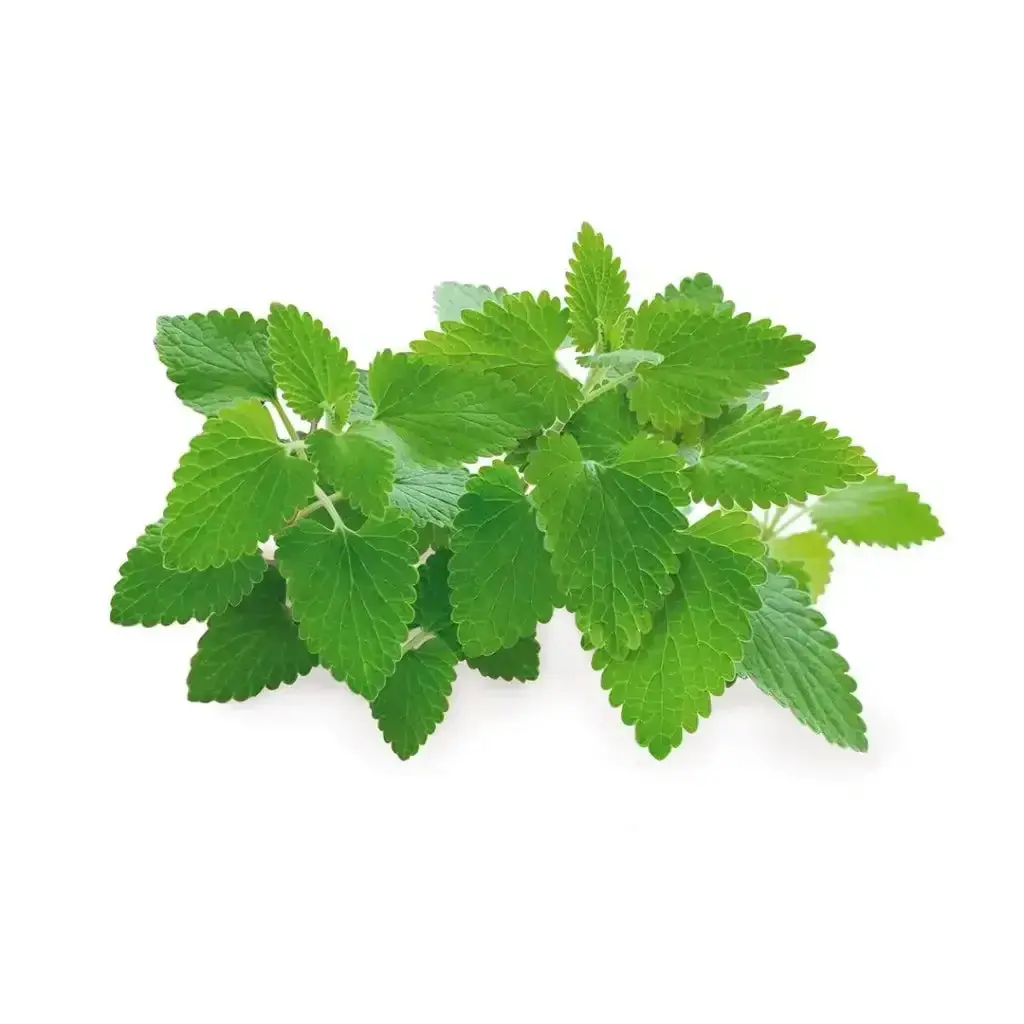 Click & Grow - Smart Garden Refill Catnip - Starter Do Uprawy Z Nasionami - Kocimiętka 1