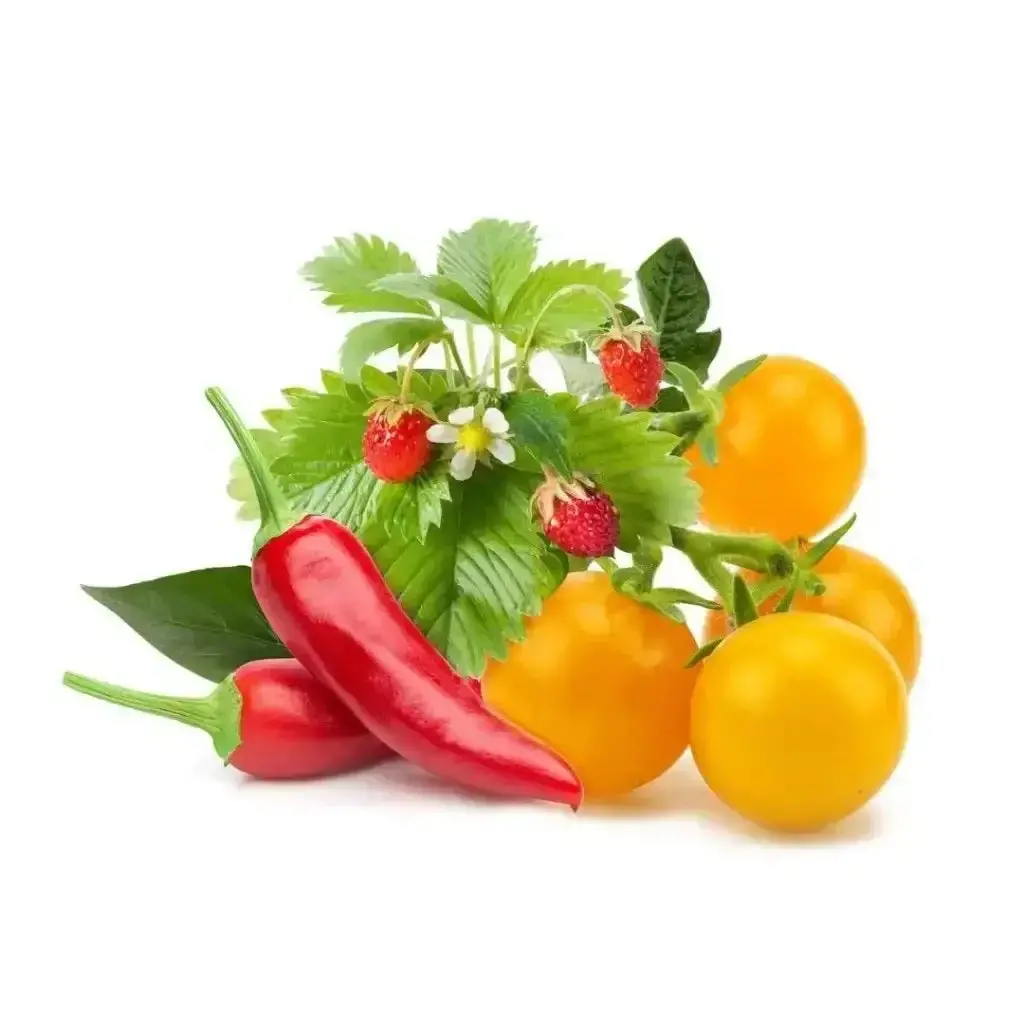Click & Grow - Smart Garden Refill Fruit And Veggie Mix - Starter Do Uprawy Z Nasionami - Mieszanka Owoców I Warzyw 1