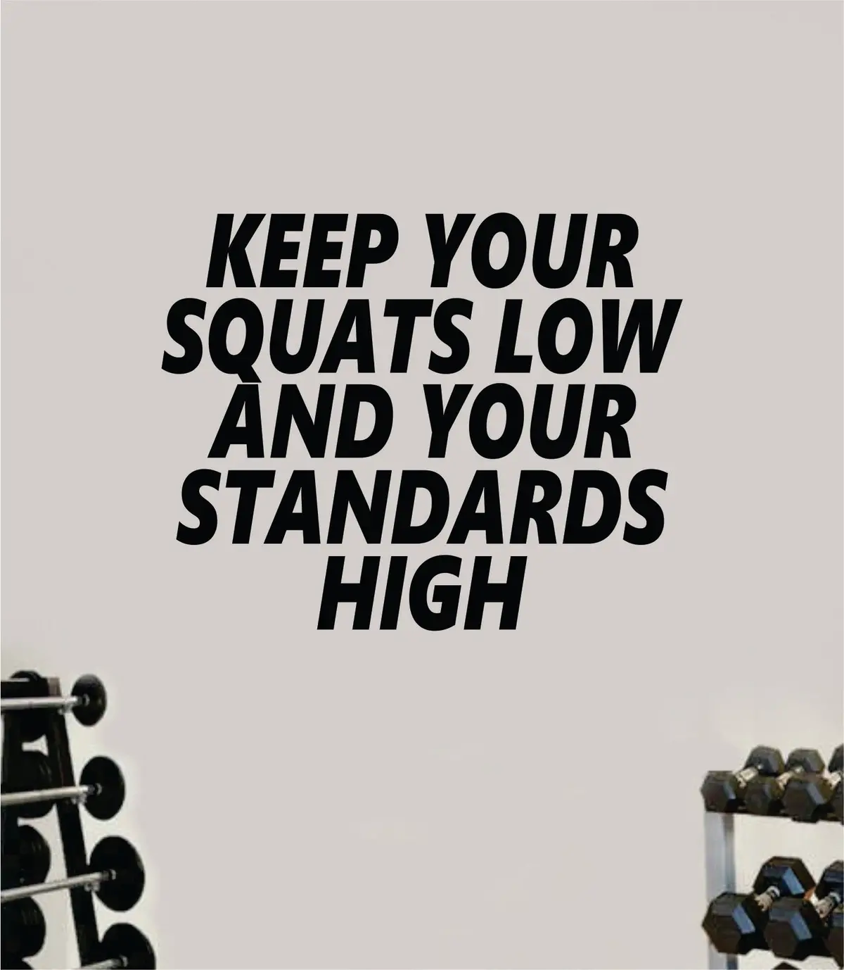 Keep Your Squats Low Standards High Gym Fitness Wall Decal Home Decor Bedroom Room Vinyl Sticker Teen Art Quote Beast Lift Strong Inspirational Motivational Health Girls 1