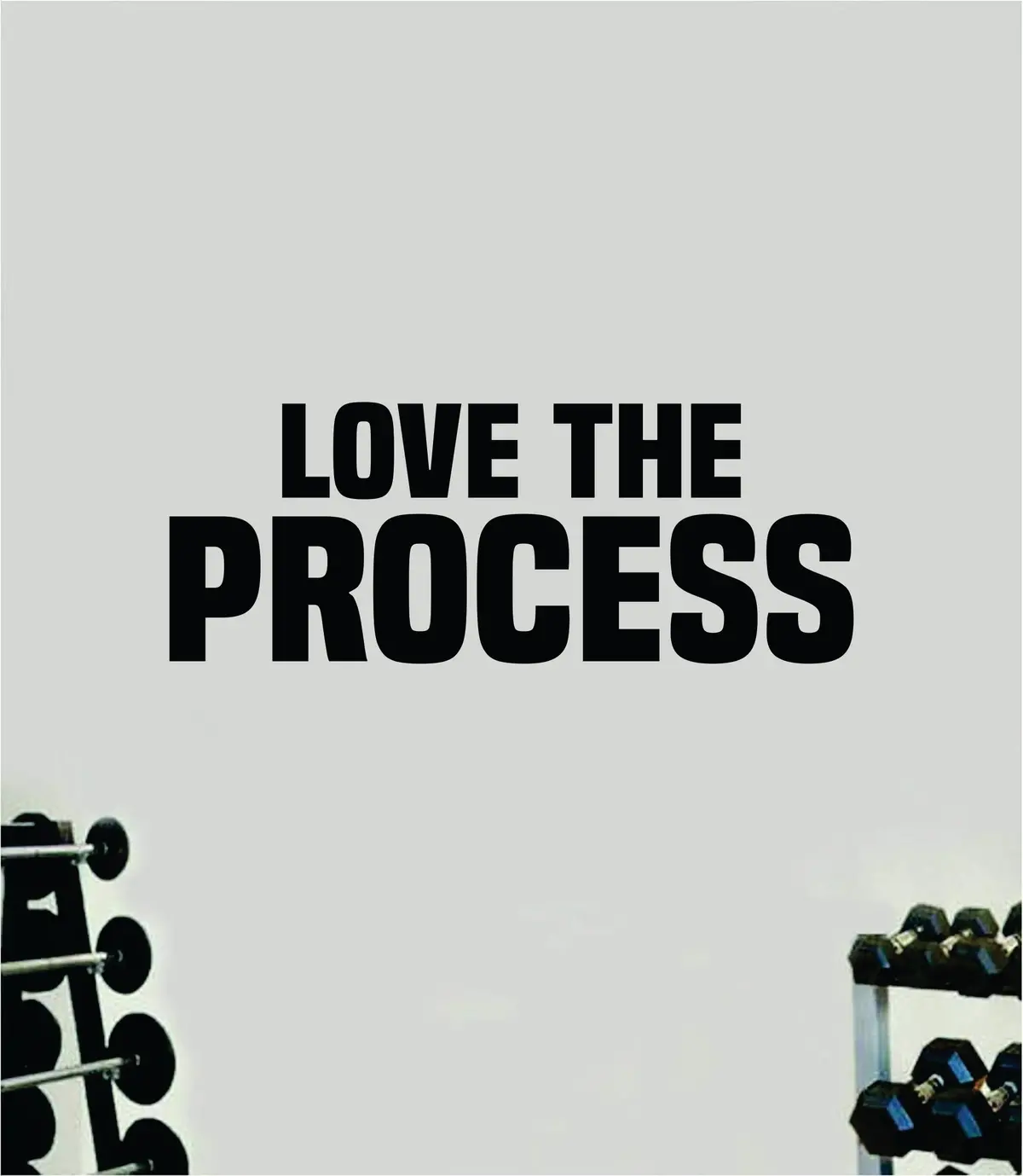 Love The Process Wall Decal Sticker Vinyl Art Wall Bedroom Home Decor Inspirational Motivational Men Girls Sports Gym Fitness Health Train Beast Lift 1