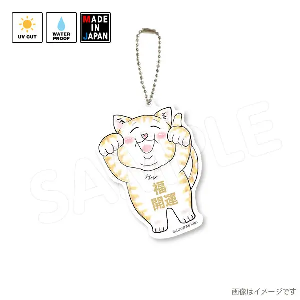 Marumi502ak　アクキー　ふくよかまるみ 1