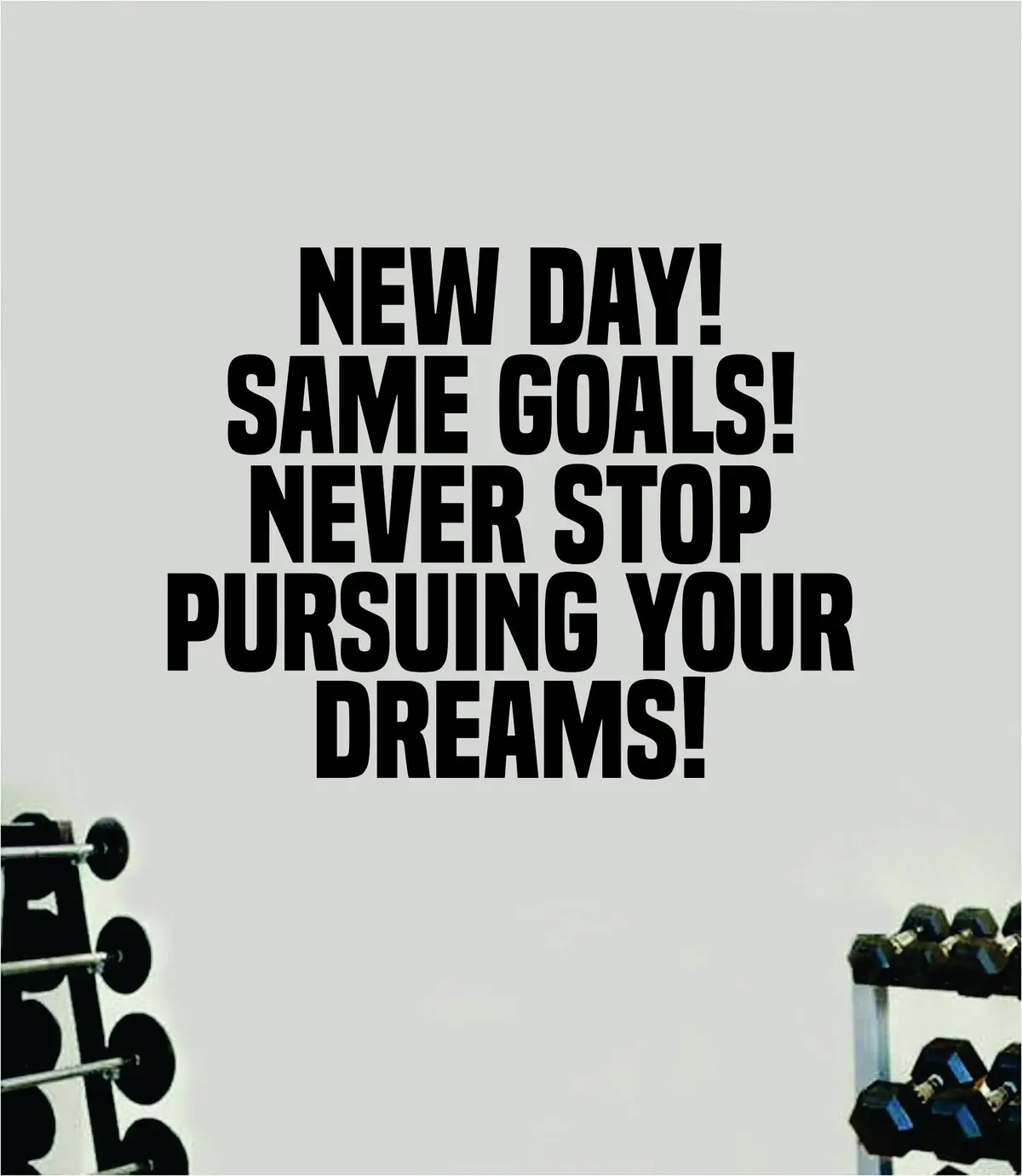 New Day Same Goals Quote Wall Decal Sticker Vinyl Art Home Decor Bedroom Boy Girl Inspirational Motivational Gym Fitness Health Exercise Lift Beast 1