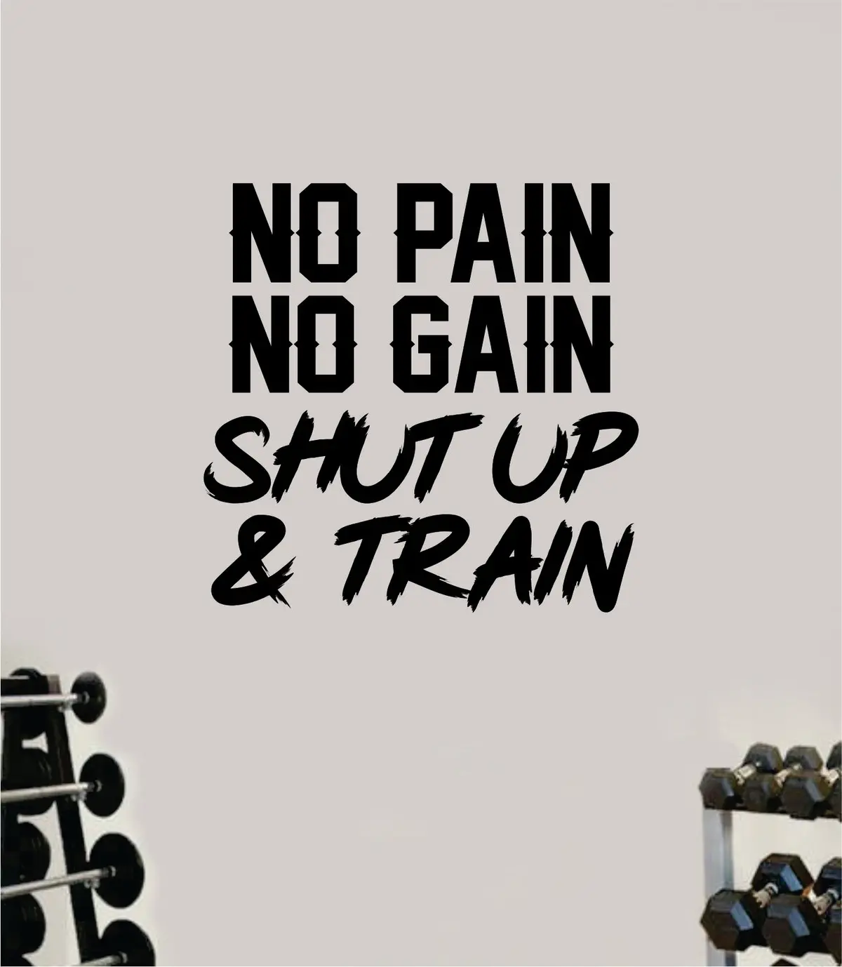 No Pain No Gain Shut Up And Train Wall Decal Sticker Vinyl Art Wall Bedroom Home Decor Inspirational Motivational Teen Sports Gym Fitness Health Girls Train Beast Lift 1