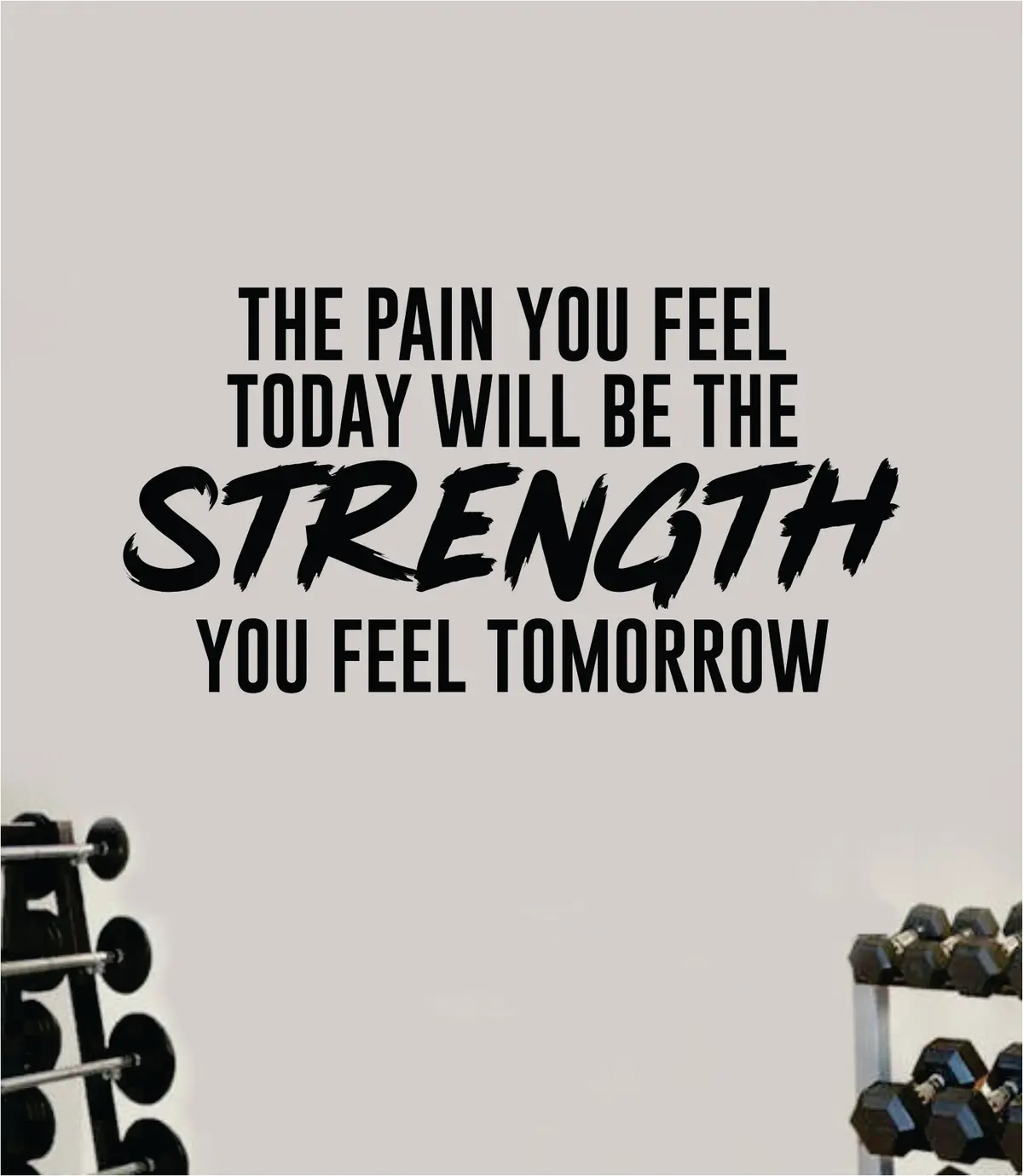 Pain Strength V2 Decal Sticker Wall Vinyl Art Wall Bedroom Room Home Decor Inspirational Motivational Teen Sports Gym Fitness Health Beast 1