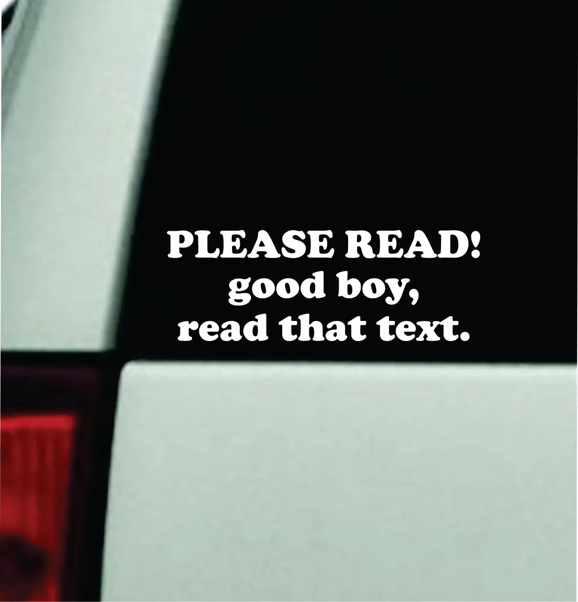 Please Read Good Boy Car Decal Bumper Sticker Truck Mirror Window Windshield Girls Funny Meme Cute 1