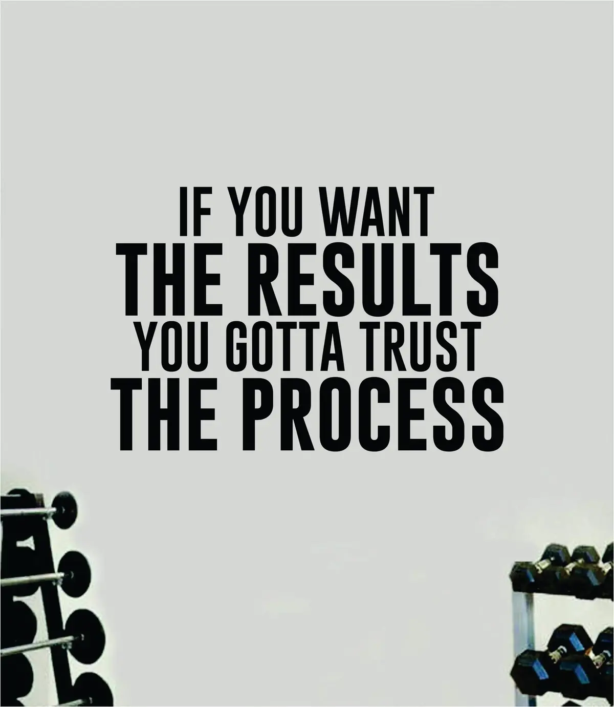 Results Trust The Process Wall Decal Sticker Vinyl Art Wall Bedroom Home Decor Inspirational Motivational Men Girls Sports Gym Fitness Health Train Beast Lift 1