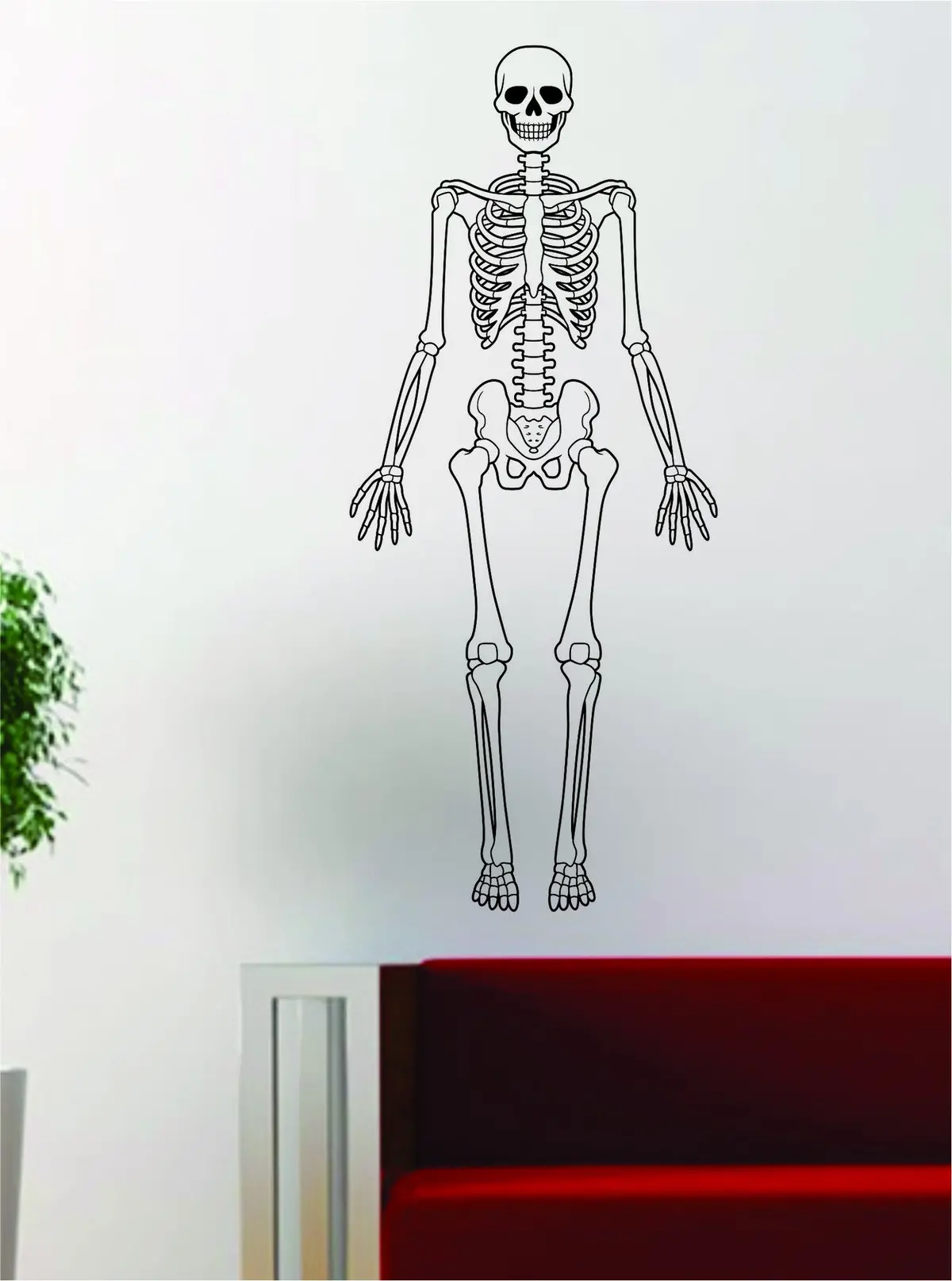 Skeleton Human School Class Design Decal Sticker Wall Vinyl Art Home Room Decor 1
