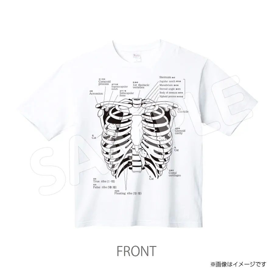 Snkasutera546tw　Ｔシャツ　アルケミノート　Snかすてら 1