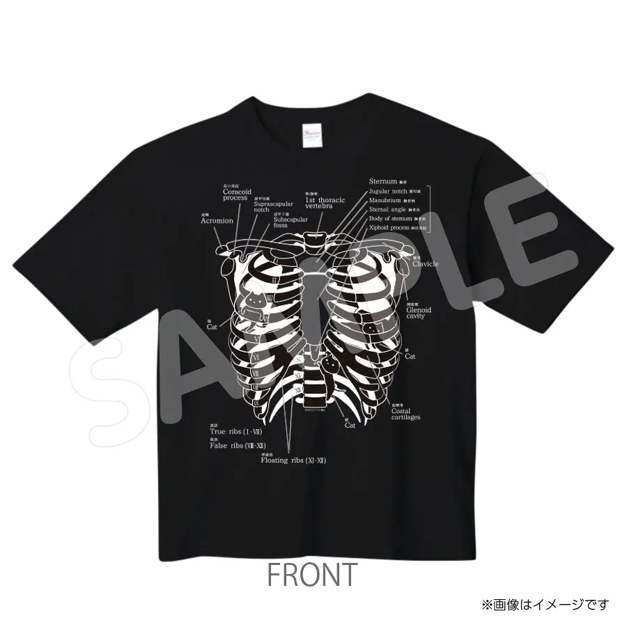 Snkasutera547tb　Ｔシャツ　アルケミノート　Snかすてら 1